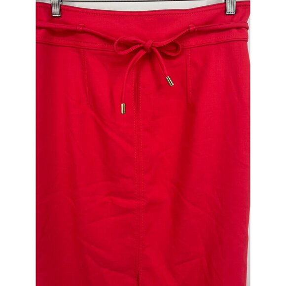 Ann Taylor Skirt Women Size 10 Midi Hot Pink Raon Stretch Tie Waist Casual New - Picture 2 of 9